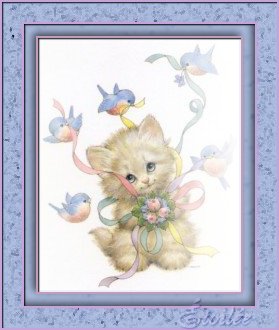 Oiseaux et chaton